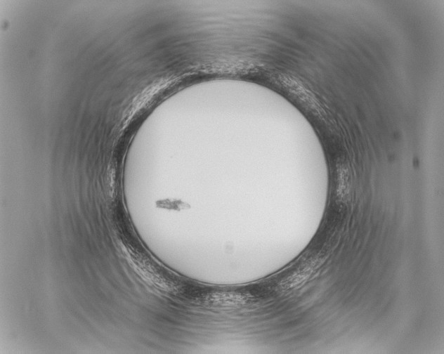 X0000059230636200511041242