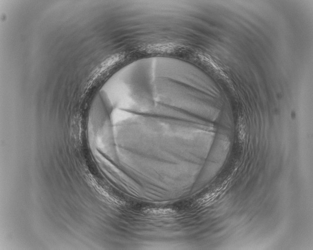 X0000059230637200511041243