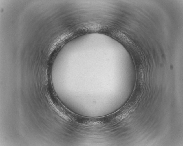 X0000059230638200511041243