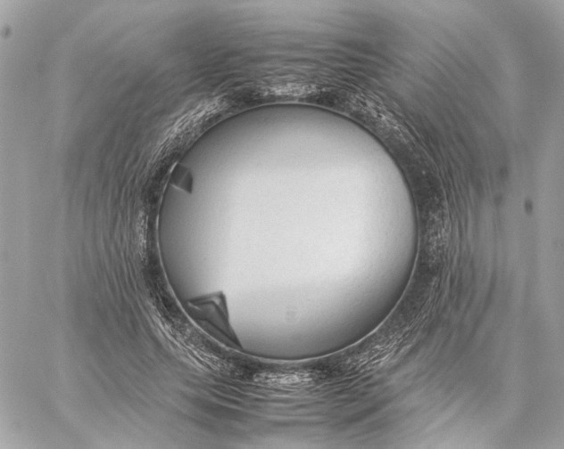 X0000059230639200511041243