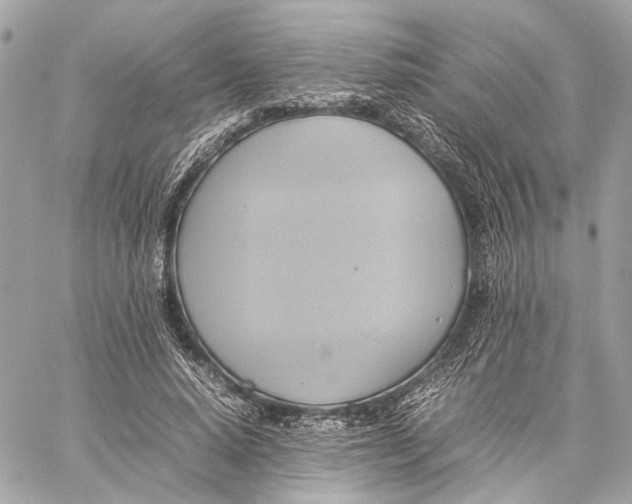 X0000059230640200511041243