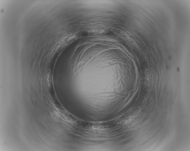 X0000059230641200511041243