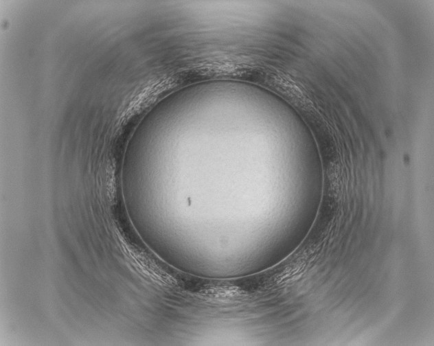 X0000059230642200511041243