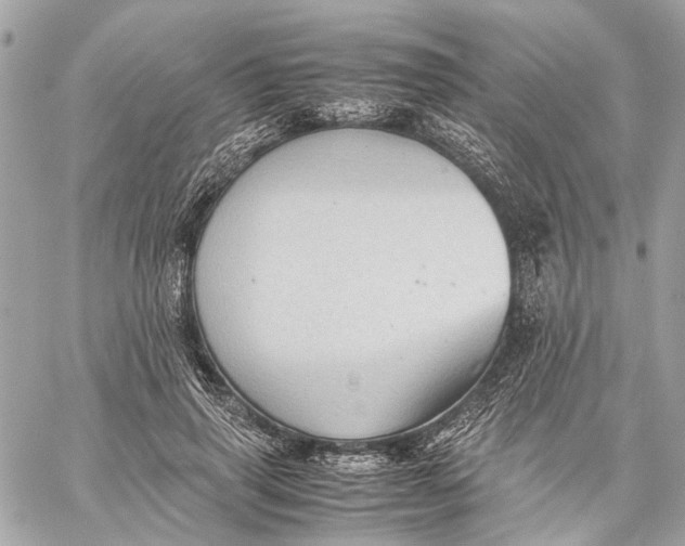 X0000059230645200511041243