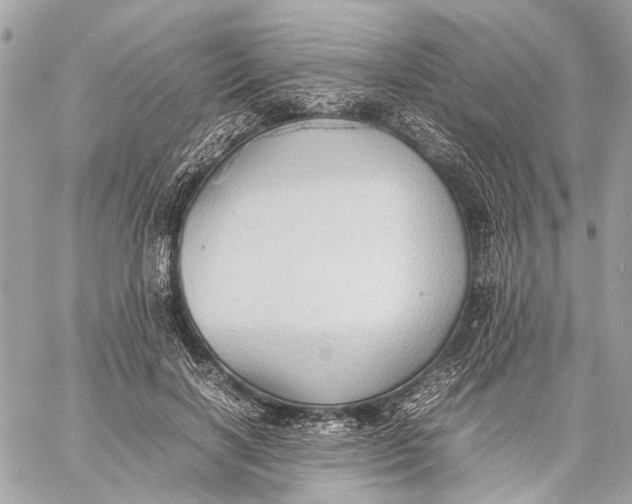 X0000059230646200511041243