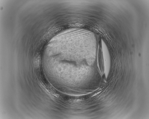 X0000059230647200511041243