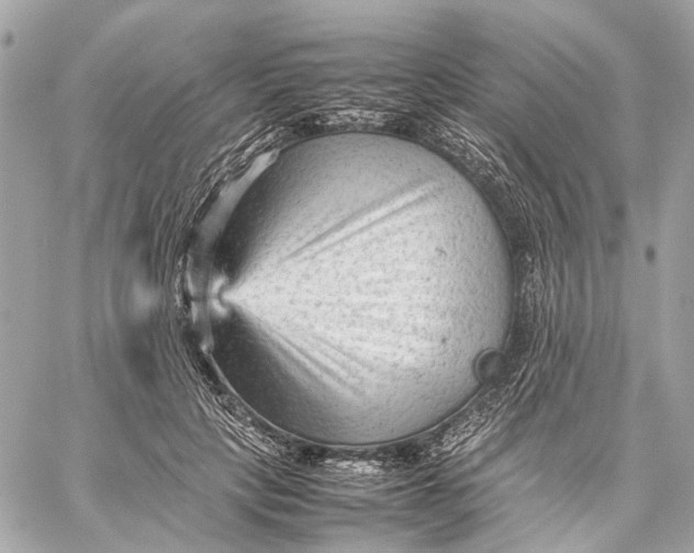 X0000059230649200511041243