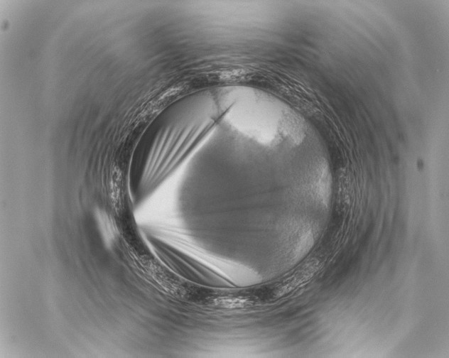 X0000059230650200511041243