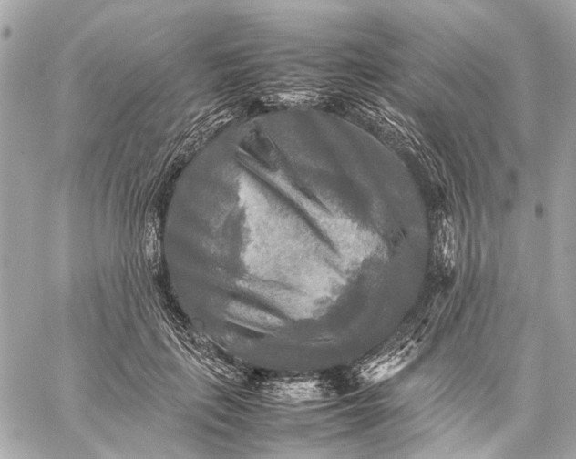 X0000059230651200511041243