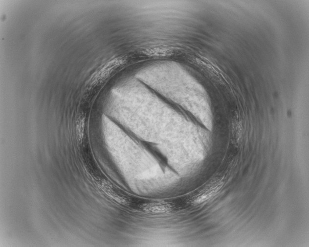 X0000059230652200511041243