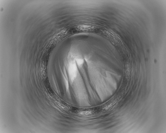 X0000059230653200511041243