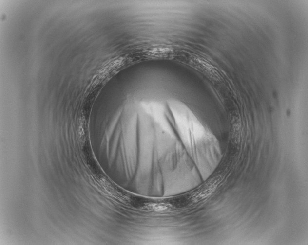 X0000059230654200511041243