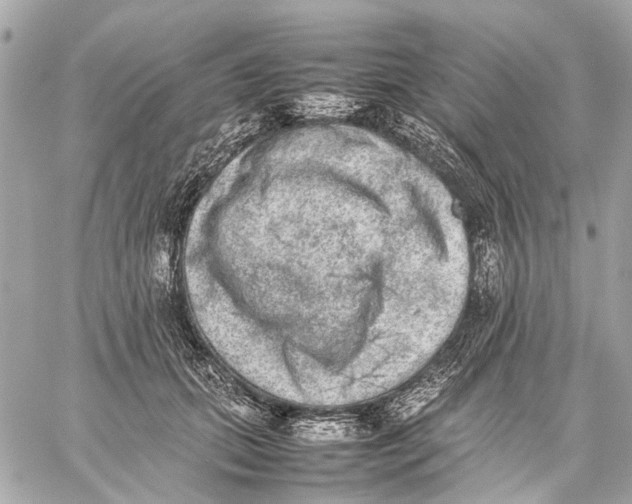 X0000059230655200511041243