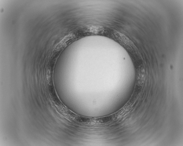 X0000059230656200511041243