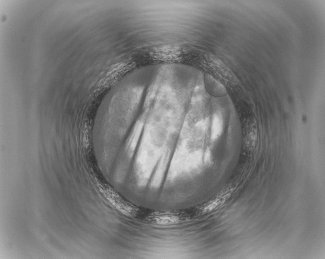 X0000059230658200511041243