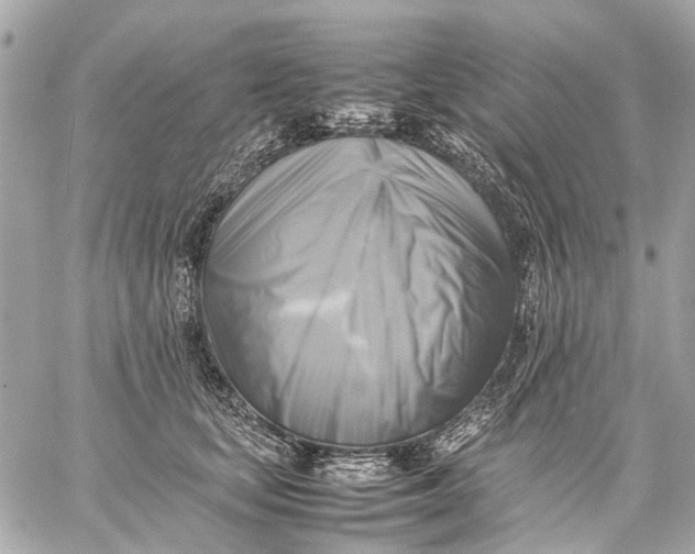 X0000059230659200511041243