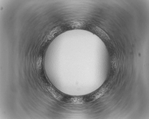 X0000059230660200511041243