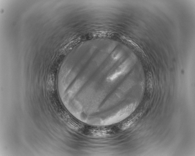 X0000059230661200511041243