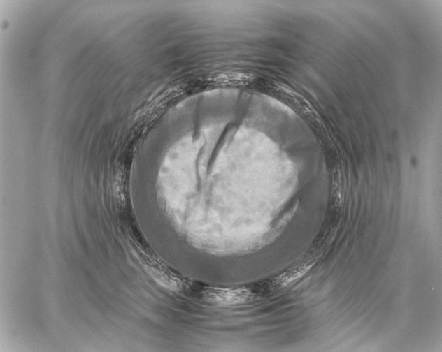 X0000059230663200511041243