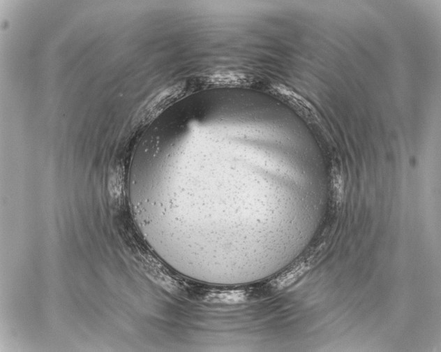 X0000059230665200511041243