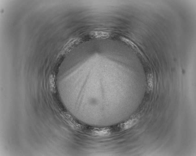 X0000059230667200511041243