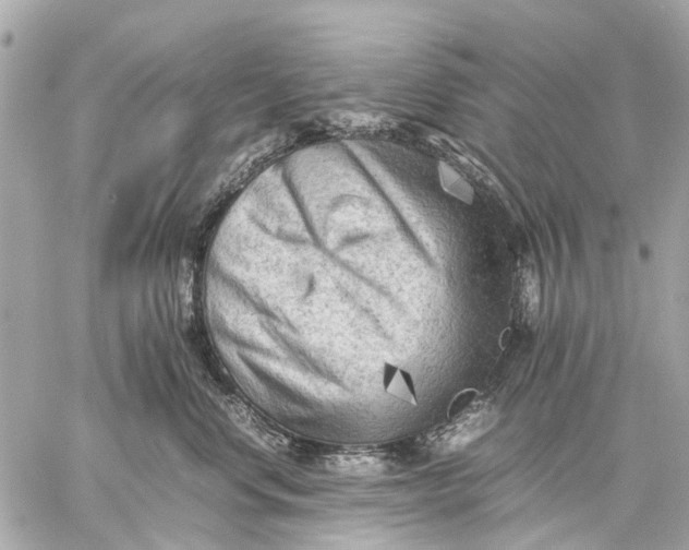 X0000059230668200511041243