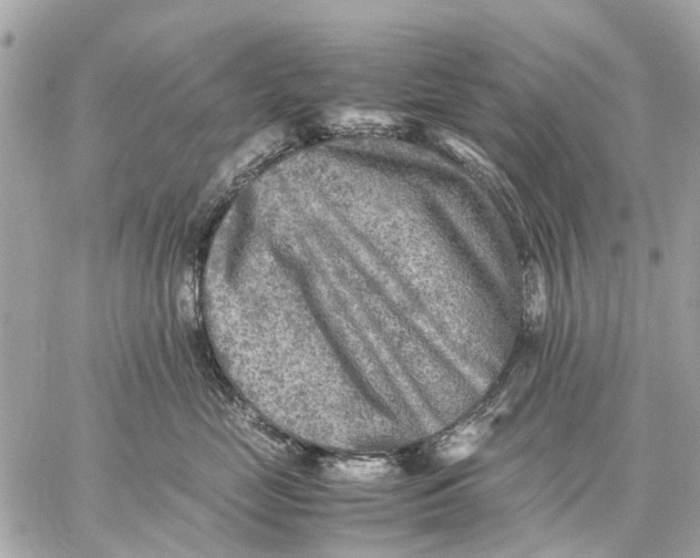 X0000059230669200511041243