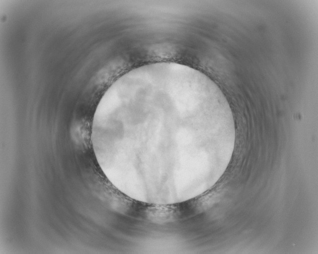 X0000059230672200511041243