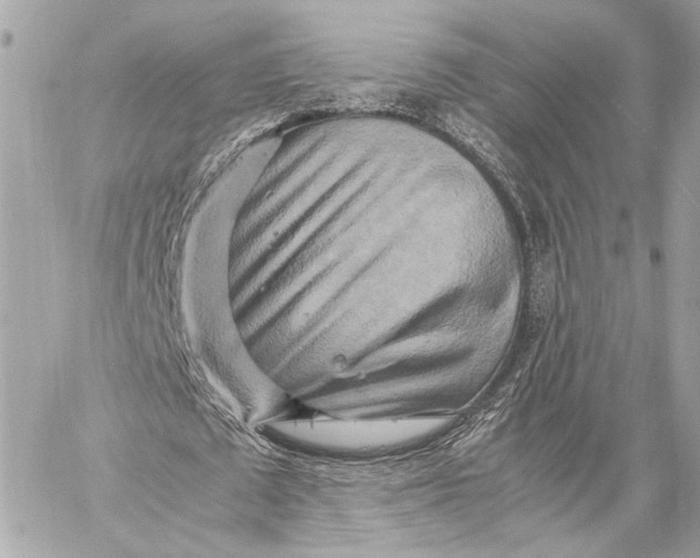 X0000059230673200511041242