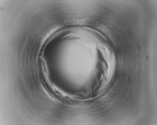 X0000059230674200511041242