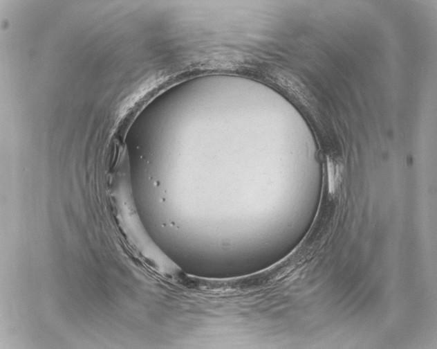 X0000059230675200511041242