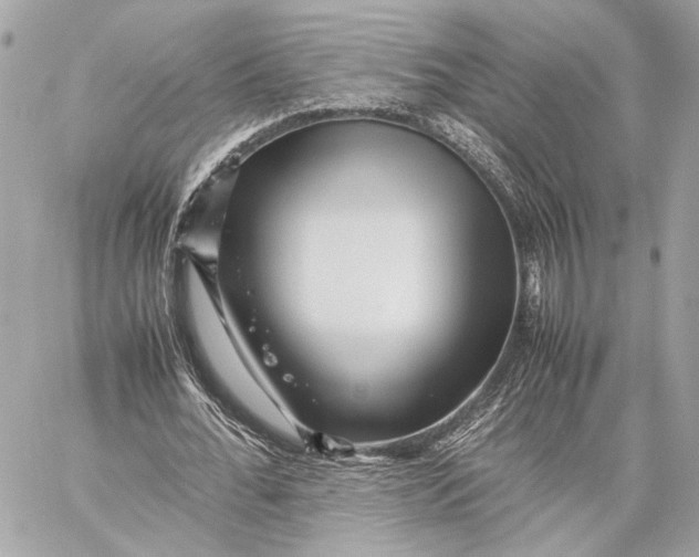 X0000059230676200511041242