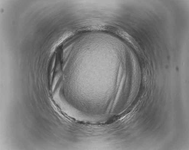 X0000059230677200511041242