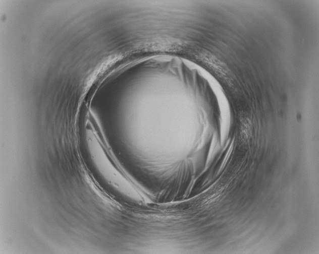 X0000059230678200511041242