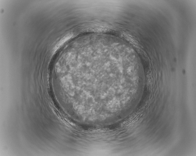 X0000059230679200511041242