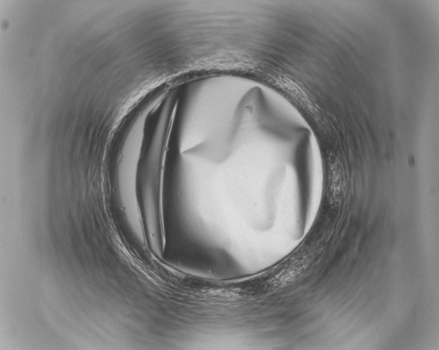 X0000059230680200511041242