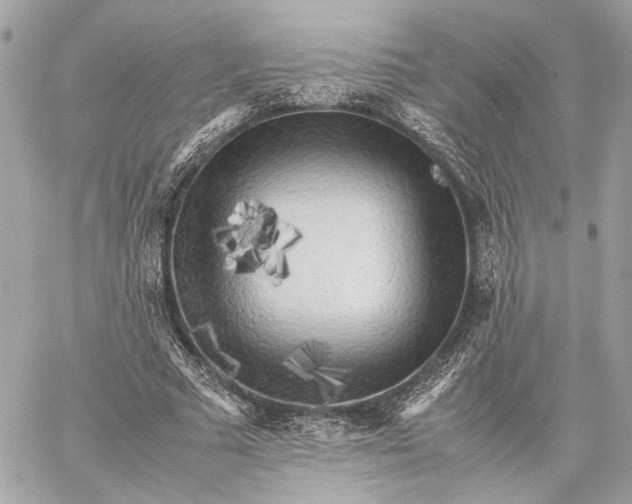 X0000059230681200511041242