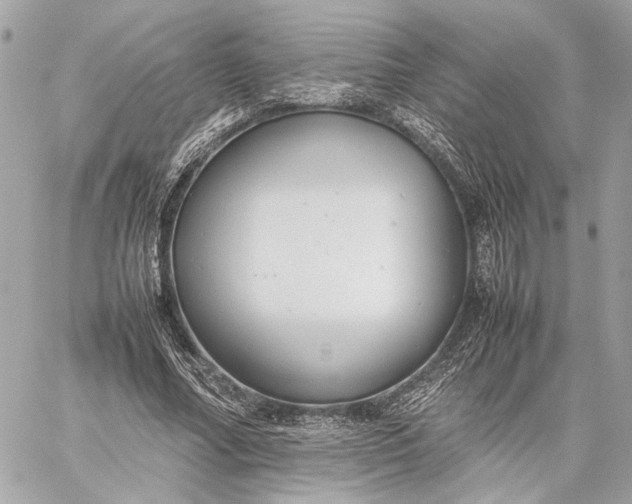 X0000059230682200511041242