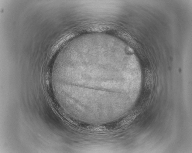 X0000059230683200511041242