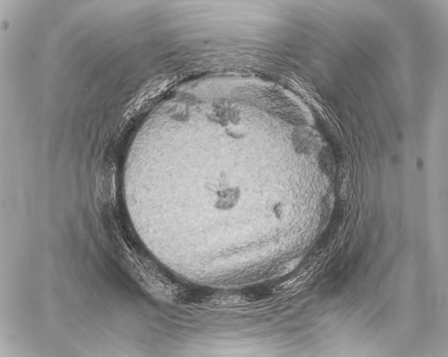 X0000059230685200511041242