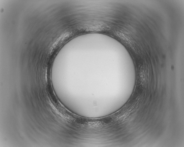 X0000059230686200511041242