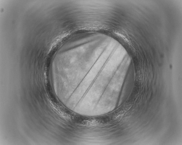 X0000059230688200511041242