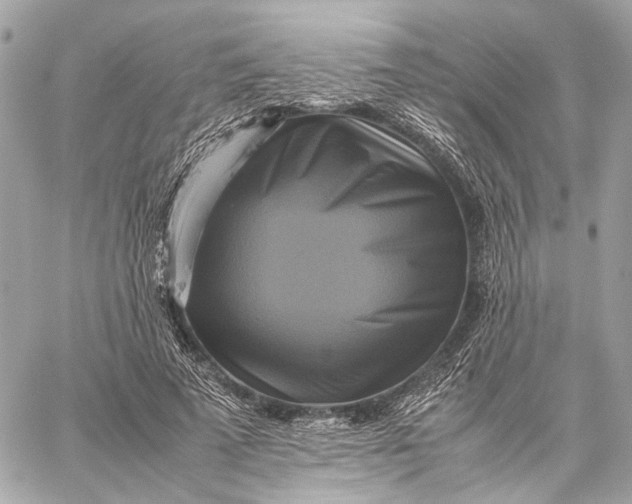 X0000059230689200511041242