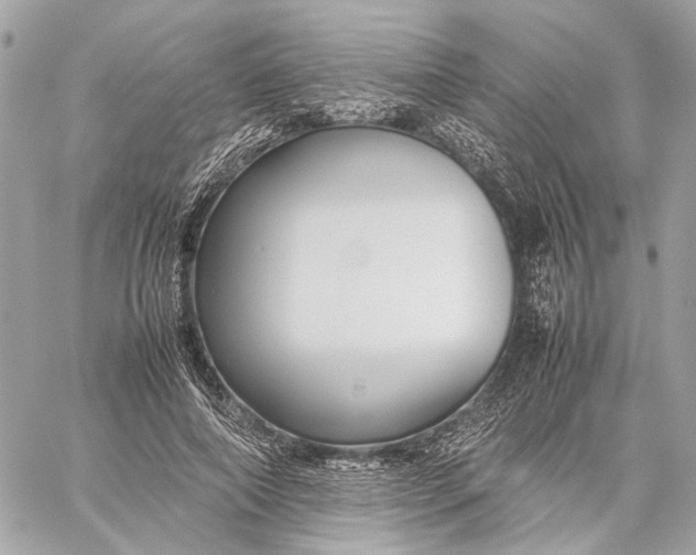 X0000059230690200511041242