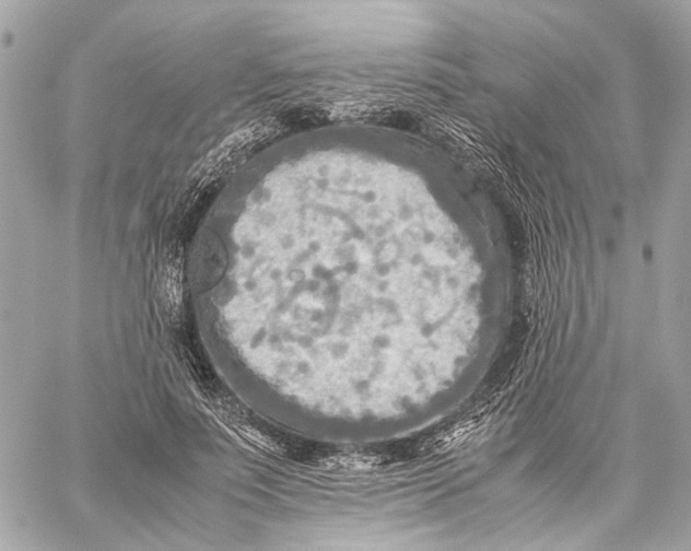 X0000059230691200511041242