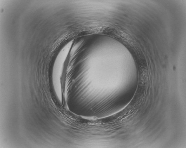 X0000059230693200511041242