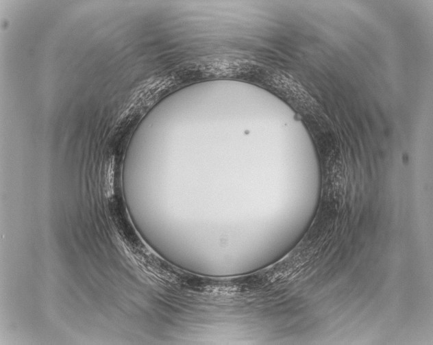 X0000059230694200511041242