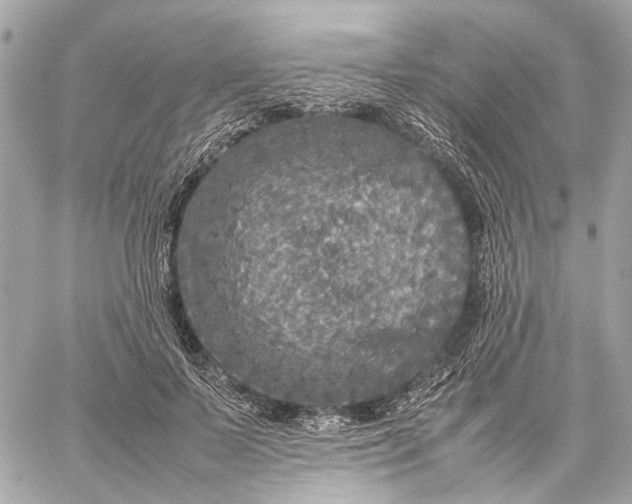 X0000059230695200511041242