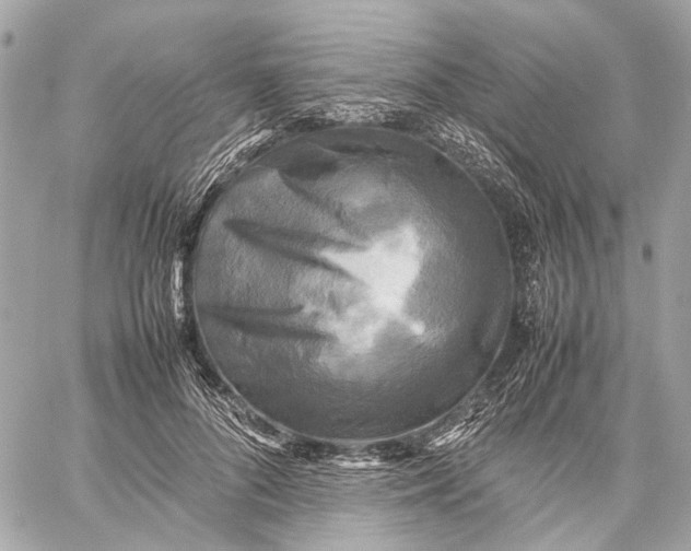 X0000059230696200511041242