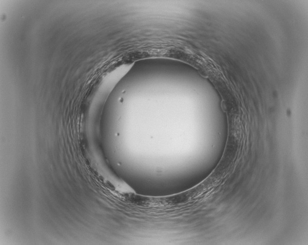 X0000059230697200511041242